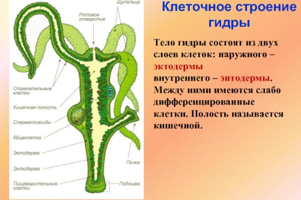 Кракен сегодня сайт зеркало