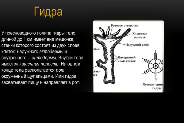 Кракен даркнет форум