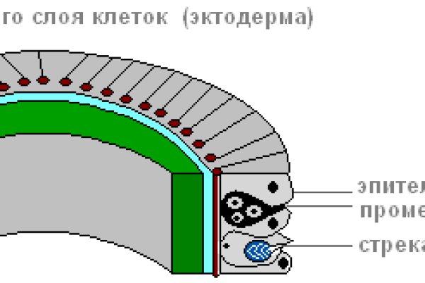 Кракен не работает сегодня