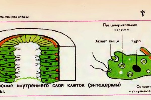 Адрес кракен в тор