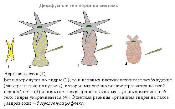 Работающий сайт кракен